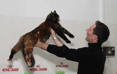 �������� ����� '������� ���-�����' 30 ������-1 ������� 2013., ������������ ��� 2242